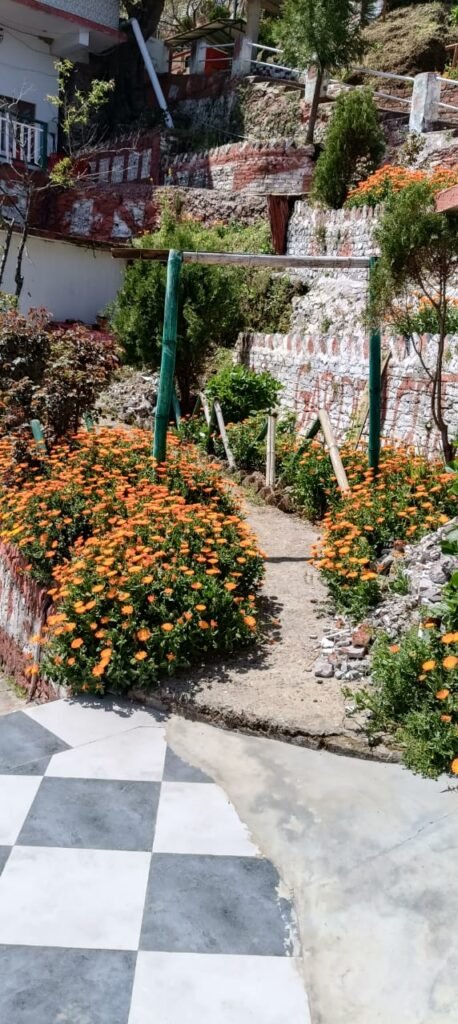 Hotel Garden Cottage and Resort Dhanaulti - Garden 1