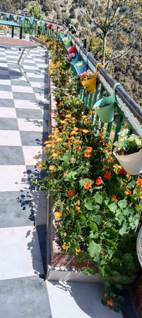 Hotel Garden Cottage and Resort Dhanaulti - Garden